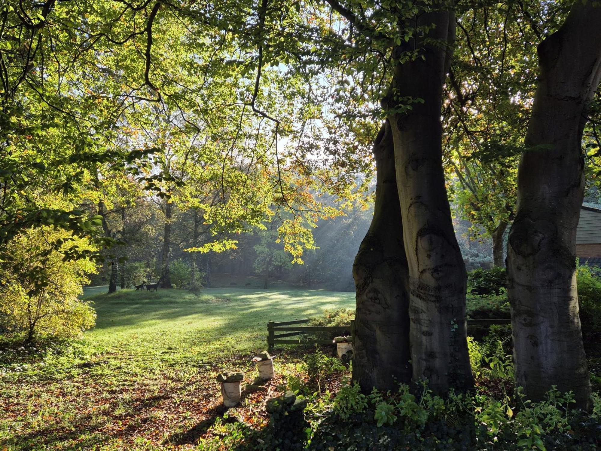 Villa Berk En Heide Rosmalen Dış mekan fotoğraf