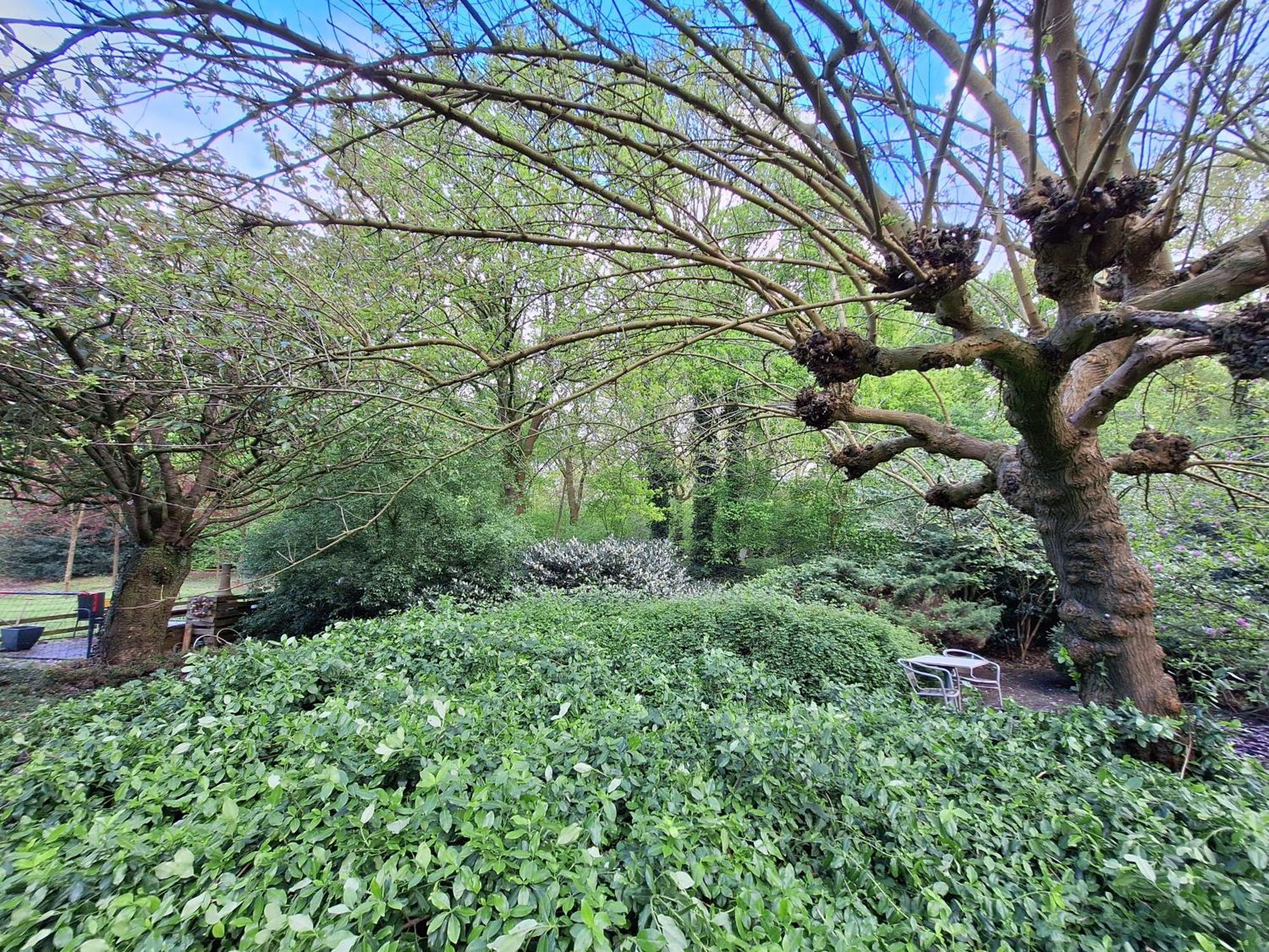 Villa Berk En Heide Rosmalen Dış mekan fotoğraf
