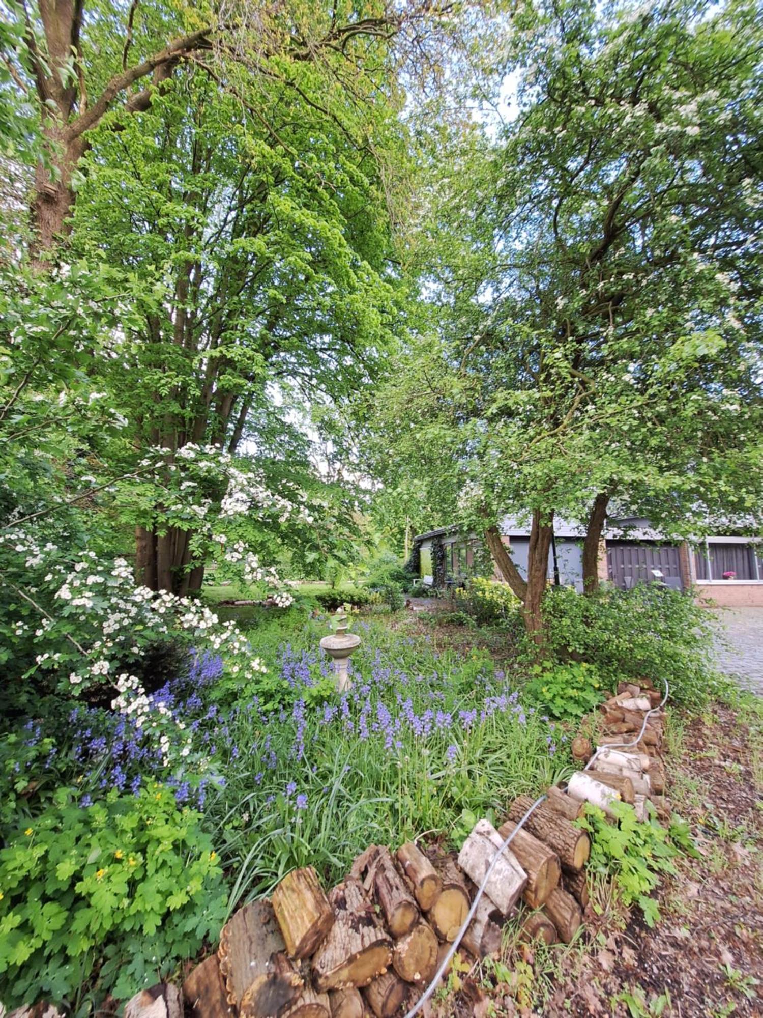 Villa Berk En Heide Rosmalen Dış mekan fotoğraf