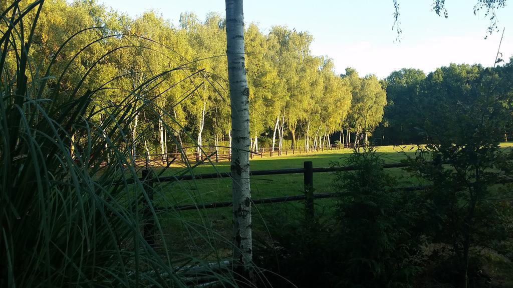 Villa Berk En Heide Rosmalen Dış mekan fotoğraf