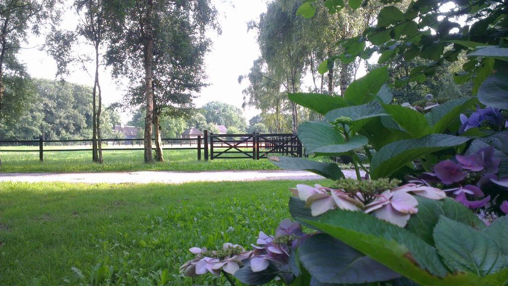 Villa Berk En Heide Rosmalen Dış mekan fotoğraf