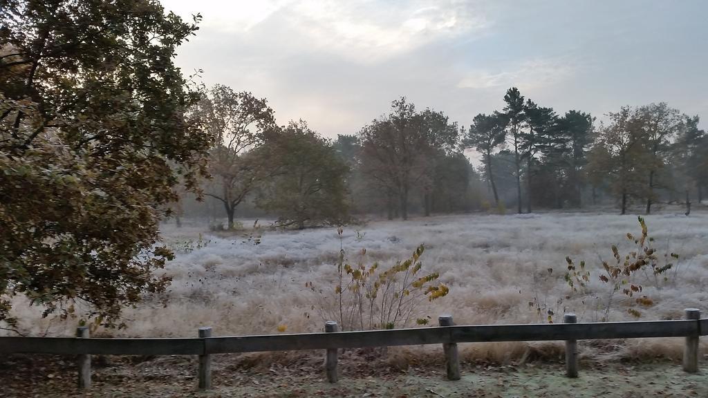 Villa Berk En Heide Rosmalen Dış mekan fotoğraf