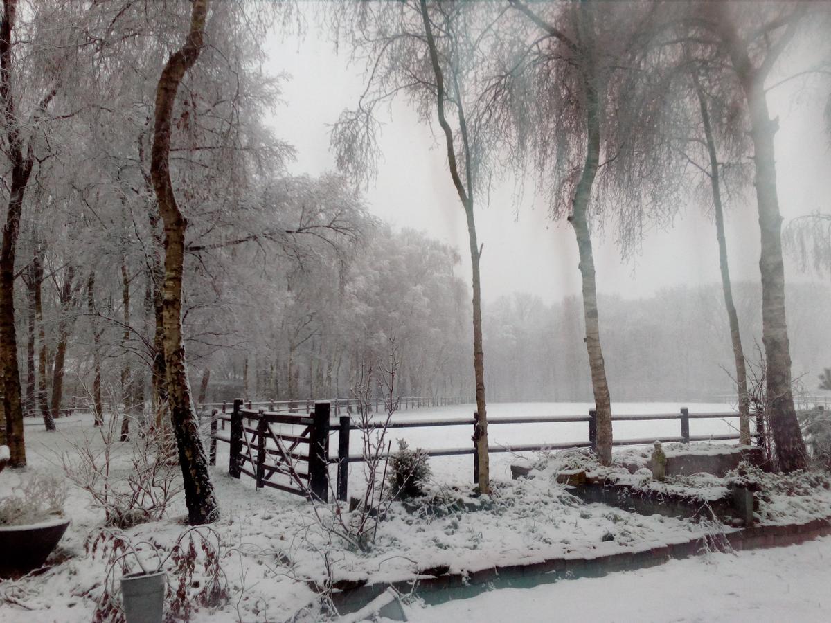 Villa Berk En Heide Rosmalen Dış mekan fotoğraf