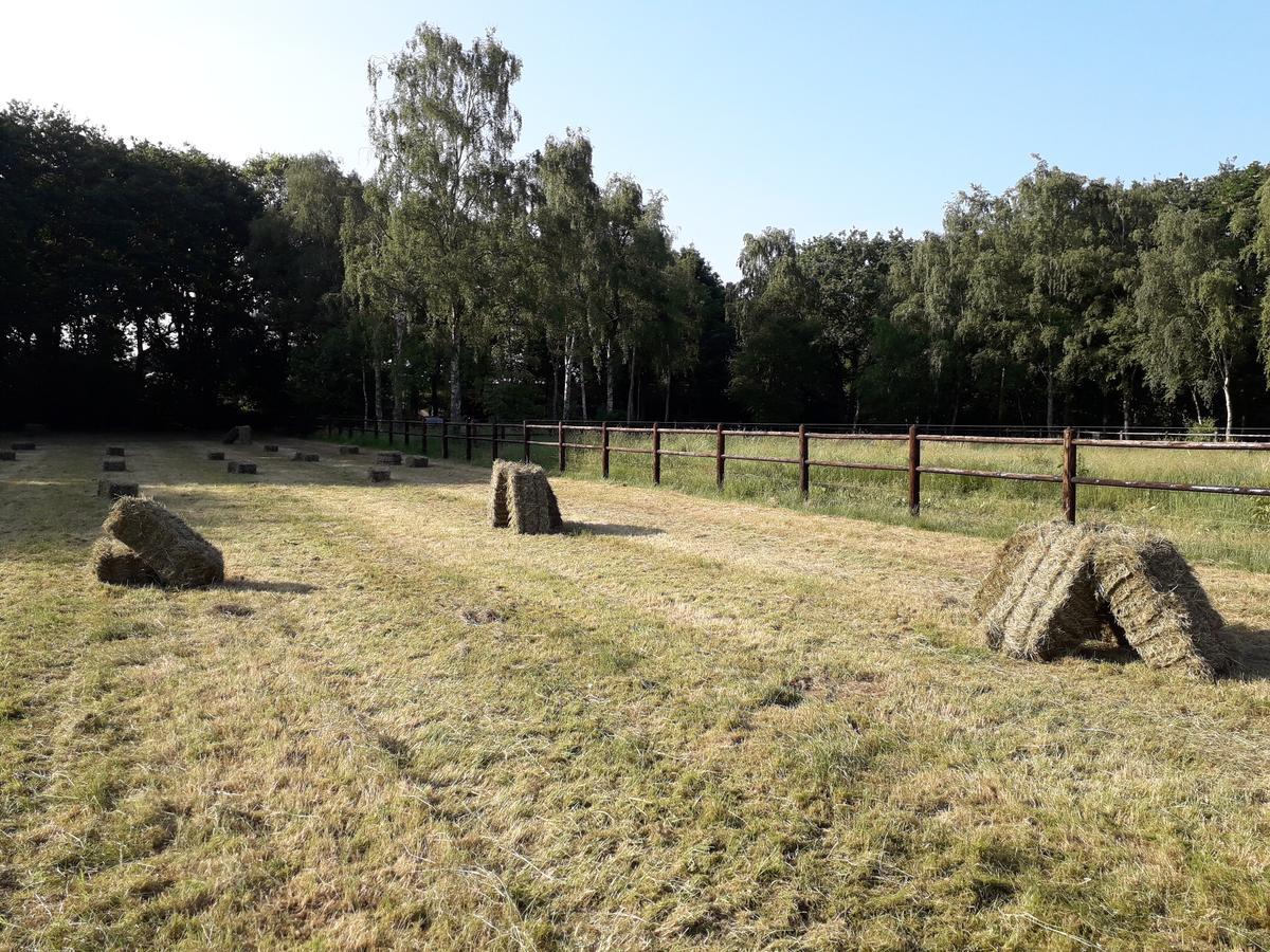 Villa Berk En Heide Rosmalen Dış mekan fotoğraf