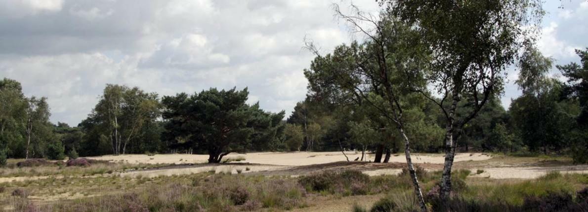 Villa Berk En Heide Rosmalen Dış mekan fotoğraf